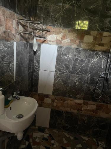 ein Badezimmer mit einem Waschbecken, einem WC und einem Spiegel in der Unterkunft Ouest Nelis Lodge in Saint-Laurent du Maroni