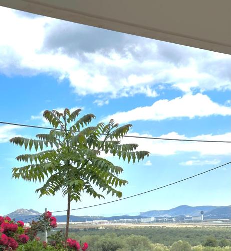 a palm tree with a view of the desert at Kallikratis Apartment Near Athens Airport in Spáta