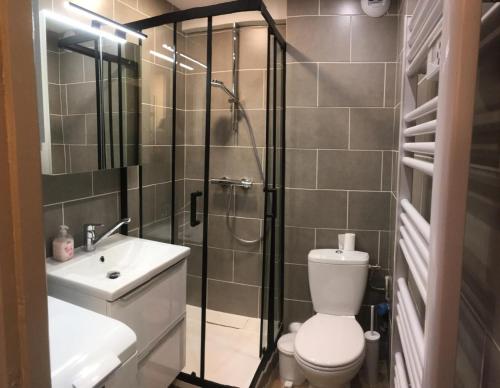 une salle de bain avec une douche, des toilettes et un lavabo dans l'établissement Résidence Betelgeuse - 2 pièces 4 personnes 2 exposé ouest MAE-9414, à Valloire
