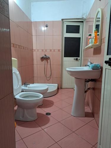 ein rosafarbenes Bad mit einem WC und einem Waschbecken in der Unterkunft Petro's House in Shkodra