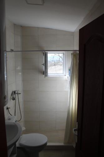 a bathroom with a shower and a toilet and a window at Odmor u Komaranima in Nova Varoš