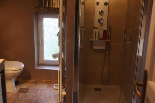 a bathroom with a shower with a sink and a toilet at Propriete d'une chambre avec terrasse et wifi a Colonard Coruberta in Courcerault