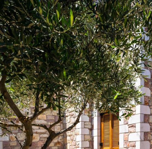 a tree in front of a window with a yellow shutter at LIOKRINA country living villas & suites in Koroni