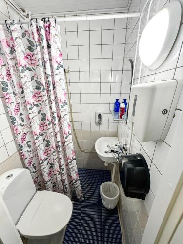 a bathroom with a toilet and a sink at Hostelli Matkustajakoti in Kuopio