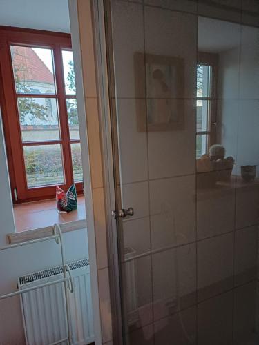 a shower with a glass door in a bathroom at Pension Hayna Zi. 1 und Zi. 2 in Schkeuditz