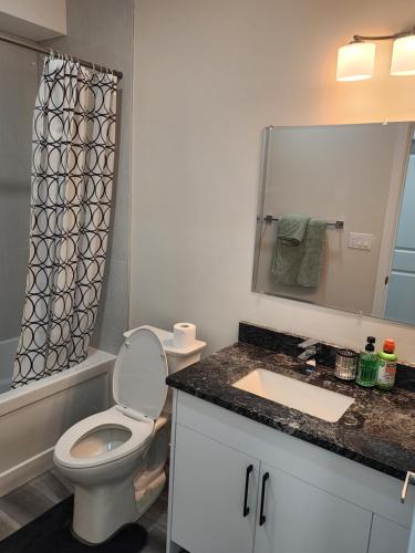 a bathroom with a toilet and a sink and a mirror at Trendy 2-Bed Oasis Awaits! in Calgary