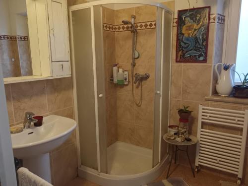 a bathroom with a shower and a sink at Casa Artemisia lungo il fiume con giardino privato in Marcaria