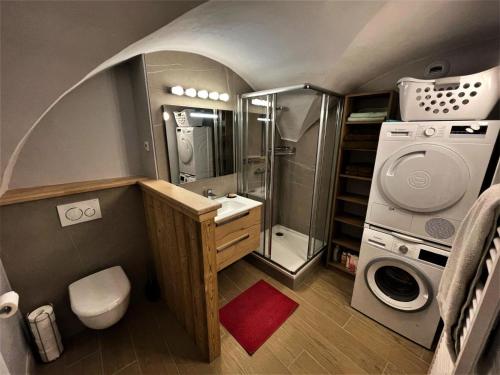 a small bathroom with a shower and a washing machine at Chalet Aster - 4 Pièces pour 6 Personnes 444 in Saint-Marcel