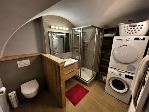 y baño pequeño con ducha y lavadora. en Chalet Aster - 4 Pièces pour 6 Personnes 444 en Saint-Marcel