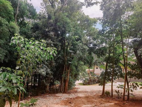 Landskap semula jadi dekat dengan perkhemahan ini
