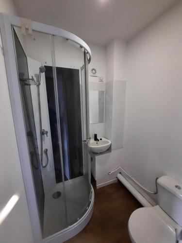 Belle Suite privative centre vesoul في فيزول: حمام مع دش ومرحاض ومغسلة