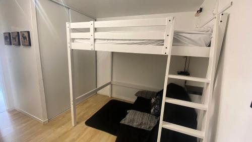 蒙熱內夫爾的住宿－Résidence Le Brigou - Studio pour 6 Personnes 804，一间卧室配有两张双层床。