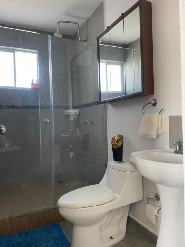 a bathroom with a toilet and a sink and a shower at Exclusivas Habitaciones al Oriente in Mexico City