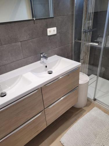 une salle de bain avec un lavabo et une douche dans l'établissement Les clés du Sud Bormes 35m2, à Bormes-les-Mimosas