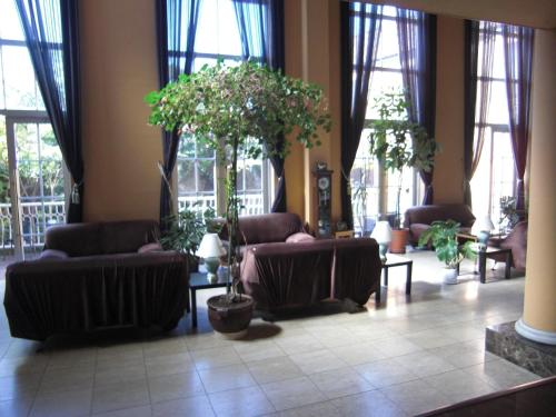 een woonkamer met banken, planten en ramen bij HOTEL SEAGULL - Vacation STAY 36269v in Izumi-Sano