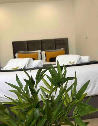 a bedroom with a bed with a plant in the foreground at Amar a Costa in Costa de Lavos