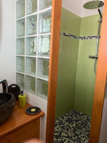 une salle de bain avec douche et lavabo dans l'établissement Chalet Mollaz - Mollaz 2 MAE-8074, à Saint-Gervais-les-Bains