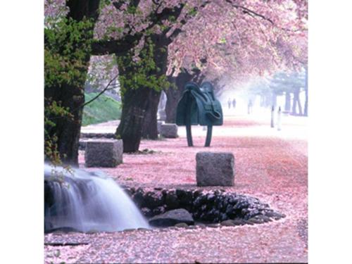 a person standing next to a waterfall in a park at Towada City Hotel - Vacation STAY 85228v in Towada