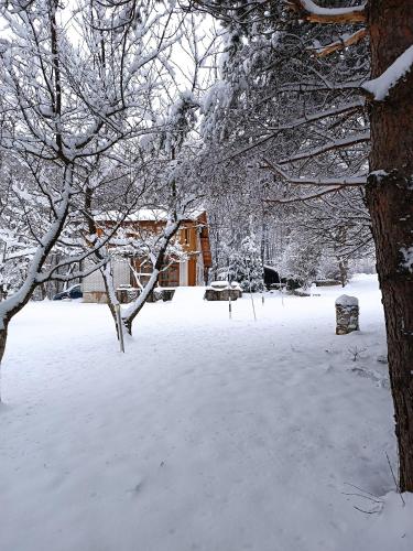 a snow covered yard with a tree and a house at Villa Ema in Sarajevo