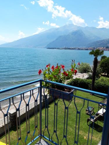 Paesaggio naturale nelle vicinanze dell'appartamento