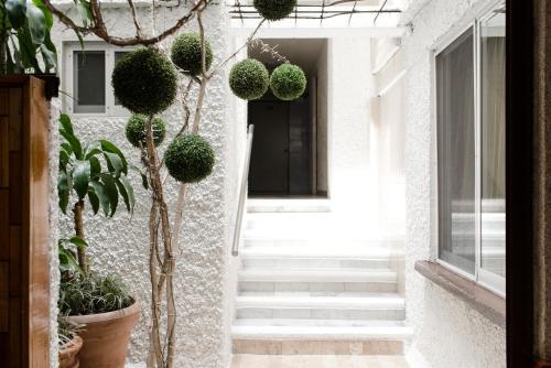 un pasillo con plantas en el lateral de un edificio en Hotel Central Irapuato - Hotel en Irapuato, en Irapuato