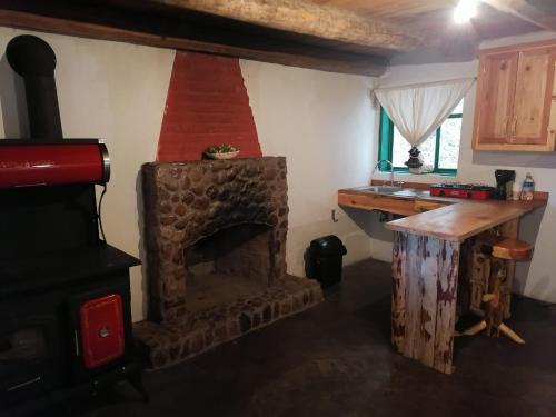 een keuken met een stenen open haard en een houten tafel bij Parque Cueva de los Leones - Rimusa Inn in Creel