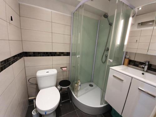 une petite salle de bain avec toilettes et douche dans l'établissement Résidence Le Boussolenc - Studio 4 personnes au centre des Orres 1650 MAE-6654, aux Orres