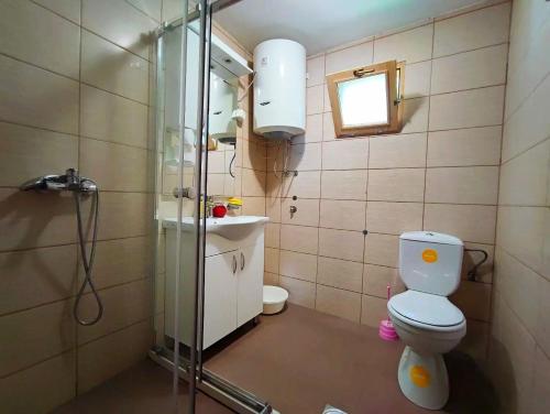 La salle de bains est pourvue de toilettes et d'une douche en verre. dans l'établissement Coso House Ada Bojana, à Ulcinj