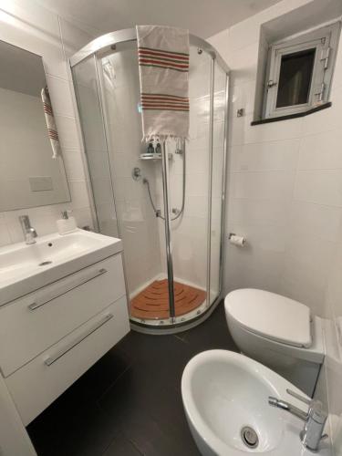 een badkamer met een douche, een toilet en een wastafel bij dietro il teatro modena in Genua