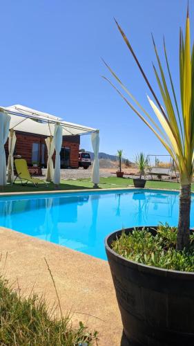 een groot zwembad met een palmboom in een pot bij Cabaña en Chillán-Portezuelo in Ñipas