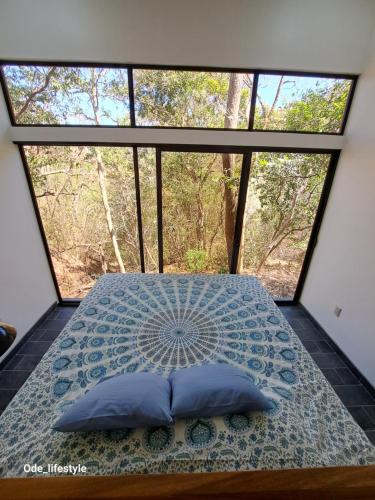 a bed with two pillows in front of a window at Guesthouse Casa Avi Fauna in Ocotal