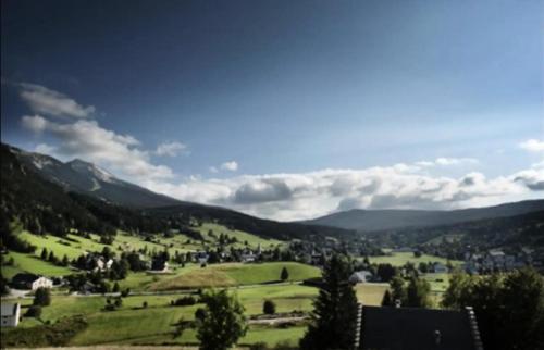 Blick auf ein grünes Feld mit Bergen im Hintergrund in der Unterkunft Résidence Le Petit Nid - Maisons & Villas pour 7 Personnes 324 in Corrençon-en-Vercors