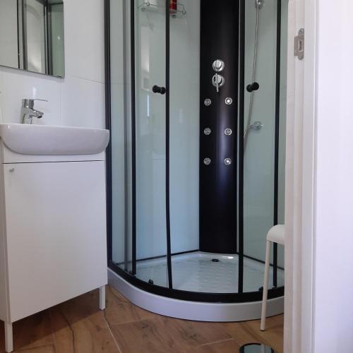 a bathroom with a shower with a sink at Casa do Loureiro - Apartamento in Paradela