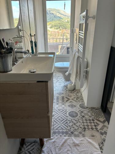 une salle de bain avec un lavabo et une fenêtre dans l'établissement Appartement de caractère superficie 50 m2, à Corte