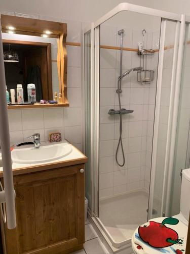 une salle de bain avec douche et lavabo dans l'établissement Résidence Les Alpages - 3 Pièces pour 6 Personnes MAE-3854, à Champagny-en-Vanoise