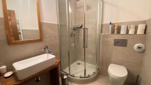 une salle de bain avec une douche, des toilettes et un lavabo dans l'établissement Résidence Loup Argente - Superbe duplex très lumineux, face aux pistes MAE-3944, à Montgenèvre