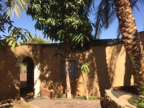 Bawati的住宿－New Oasis，前面有棕榈树的房子