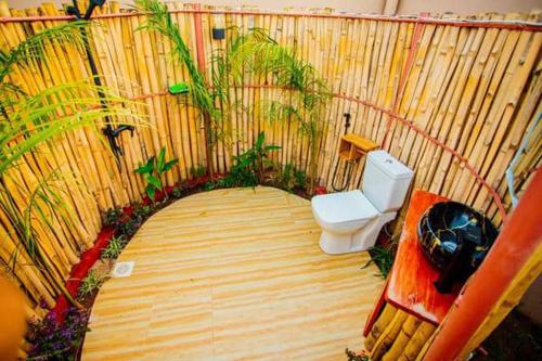 Safi House في Boma la Ngombe: حمام مع مرحاض والنباتات على الحائط