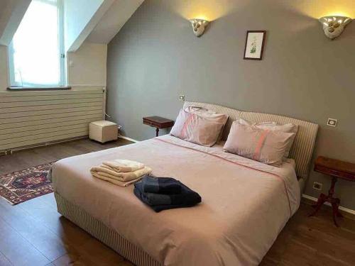 une chambre avec un lit avec des serviettes dessus dans l'établissement Maison bord de rivière 15 min de Sens, à Marsangy