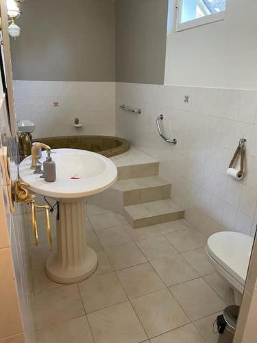 une salle de bain avec un lavabo, une douche et des toilettes dans l'établissement Maison bord de rivière 15 min de Sens, à Marsangy