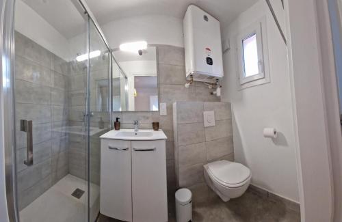 une salle de bain avec toilettes, douche et lavabo dans l'établissement Appartement proche de Saint Cyprien, à Lecci