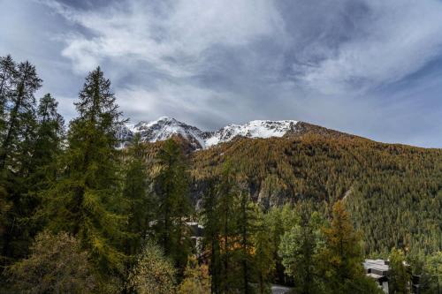 a mountain with trees and snow on top of it at Résidence Les Ecrins - Studio pour 4 Personnes 224 in Les Orres