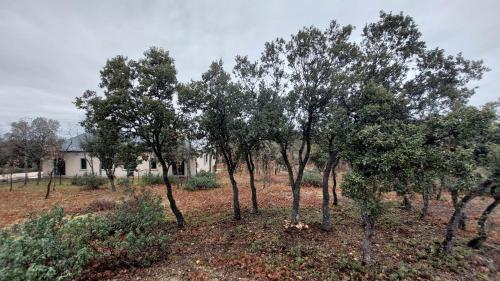 un gruppo di alberi davanti a una casa di La Lumbre: encanto con piscina todo el año a Castillejo de Mesleón