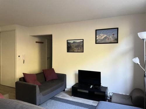 sala de estar con sofá y TV de pantalla plana en Résidence La Petite Ourse - 3 Pièces pour 6 Personnes 62, en Flaine