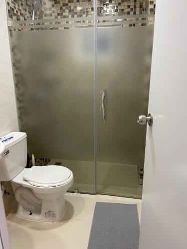 a bathroom with a toilet and a shower at Plataview Apartahotel apt 3A in Monte Plata