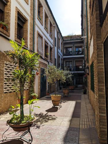 Patio's House