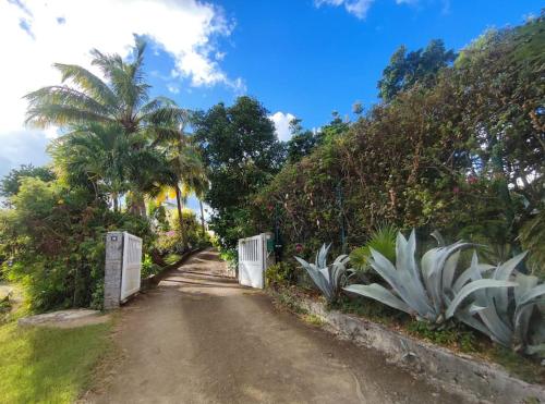 a dirt road with palm trees and a white gate at Appartement - Résidence piscine La Villa Bèl in Sainte-Anne