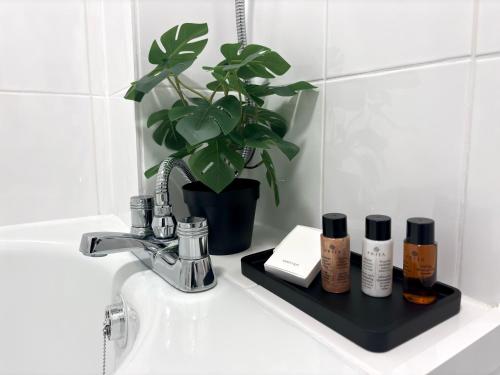 um lavatório de casa de banho com uma planta e produtos sobre ele em Entire House, Sleeps 5, FreeParking, Work&Leisure em Shenley Brook End