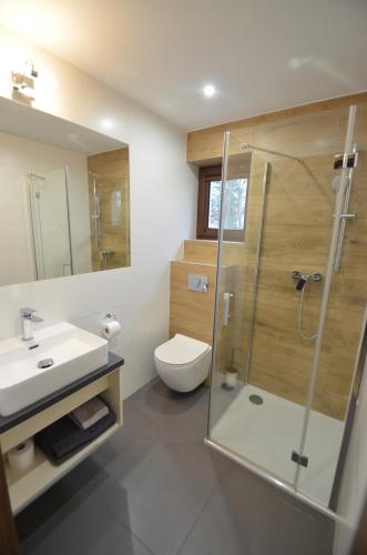 W łazience znajduje się prysznic, toaleta i umywalka. w obiekcie Pokoje Premium w mieście Karpacz