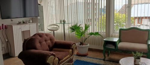 uma sala de estar com um sofá e uma cadeira em Casa Raíces em Quito